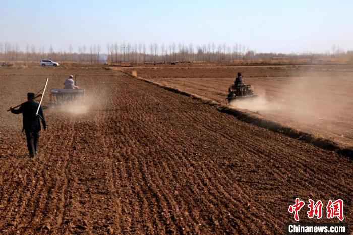  “塞外粮仓”河套灌区春小麦开播 拉开内蒙古春播序幕